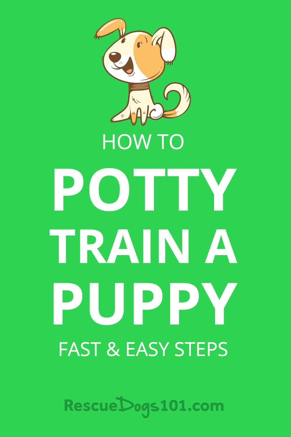 How to Potty Train a Puppy Fast & Easy