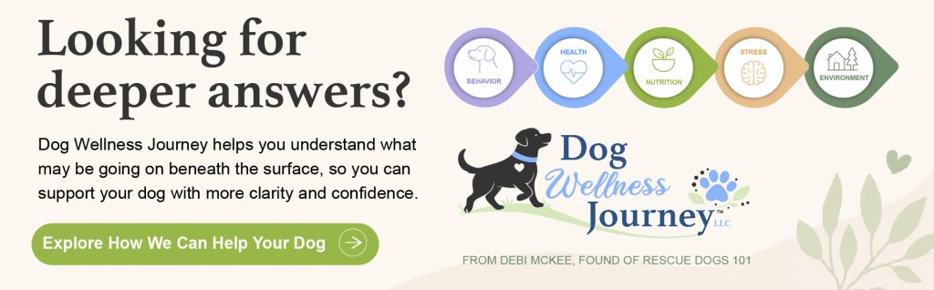 Dog Wellness Journey, Looking for Deeper Answers.