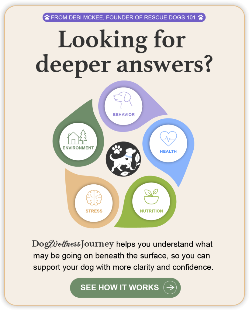 Dog Wellness Journey, Looking for Deeper Answers.