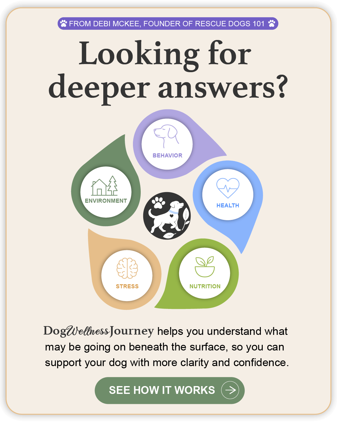Dog Wellness Journey, Looking for Deeper Answers.