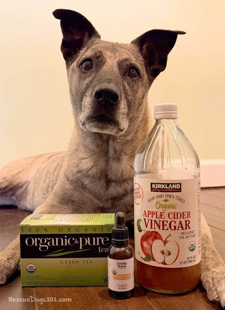 Mixed breed dog laying on a wood floor with a bottle of apple cider vinegar, box of green tea, and bottle of calendula oil.