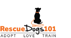 Rescue Dogs 101