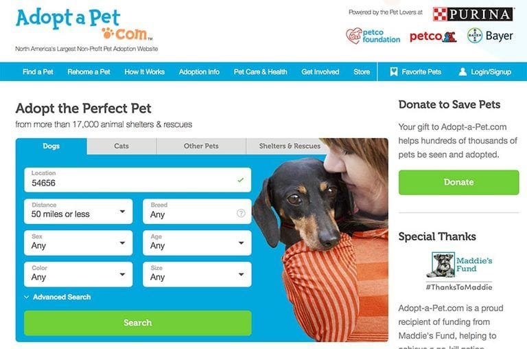 The 4 Best Adoption Websites for Dogs