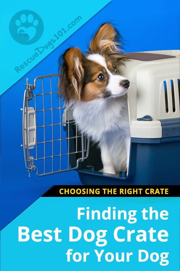 Best Dog Crates
