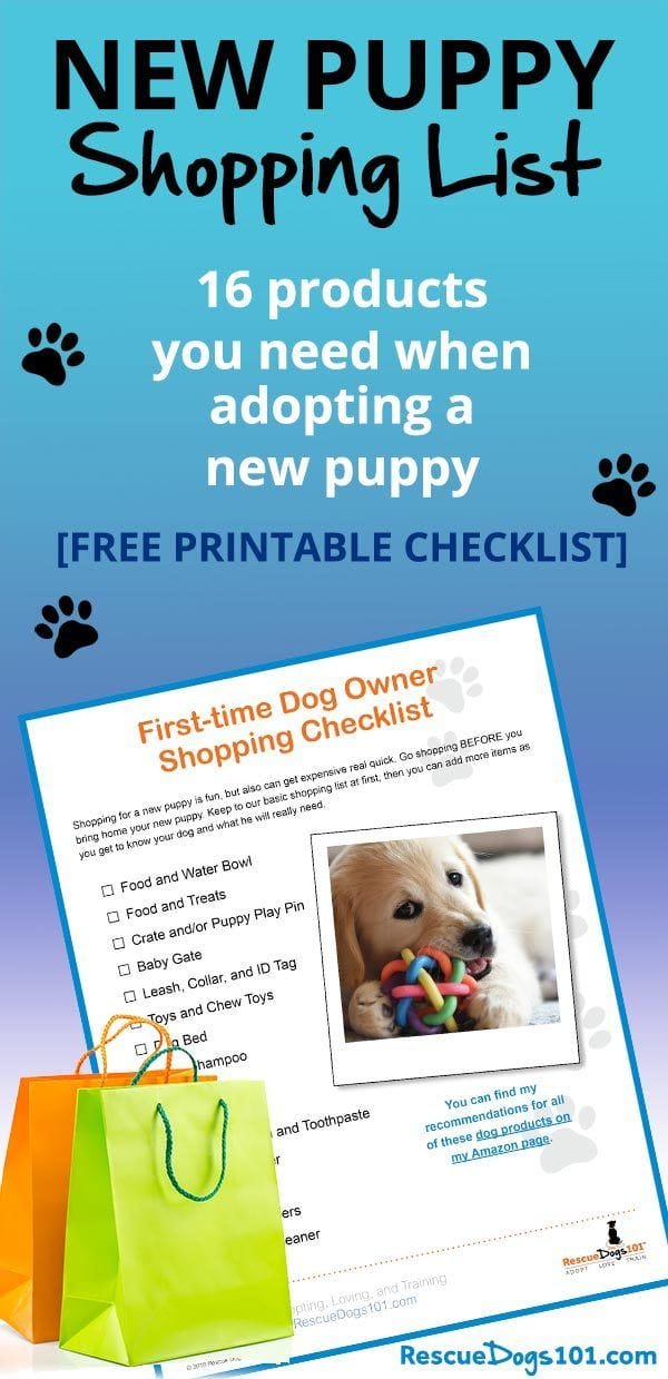 Puppy Shopping List For New Dog Parents