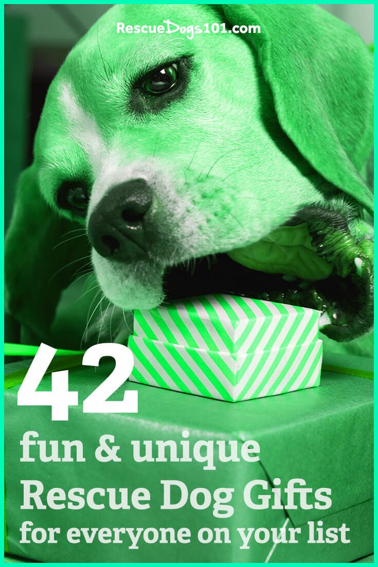 42 of the Most Adorable and Fun Rescue Dog Gifts