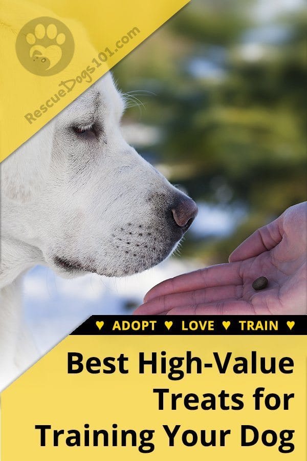 Best Healthy Dog Treats for Training