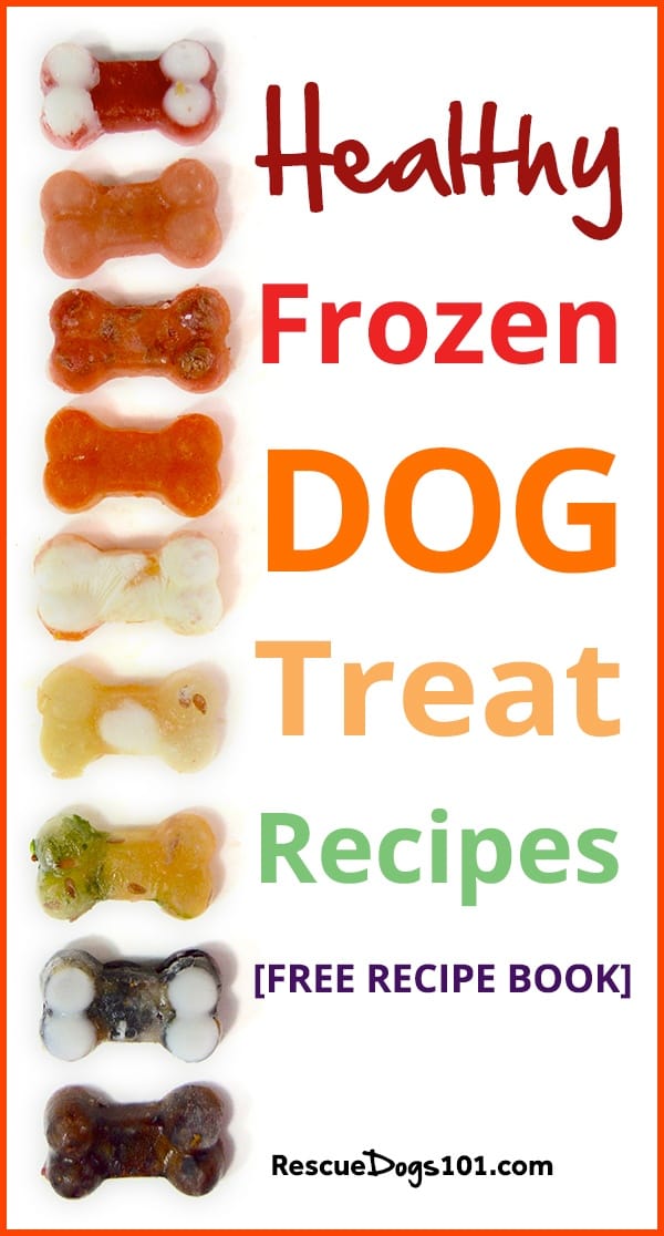 Easy Homemade Frozen Dog Treats for Summer