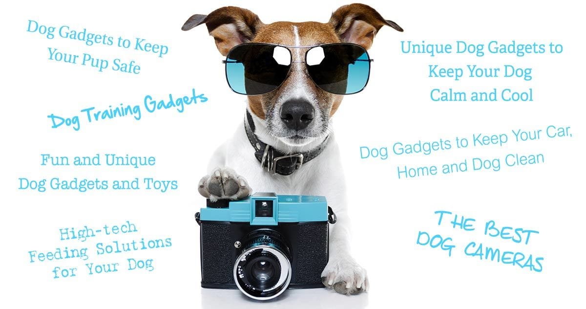 best dog gadgets
