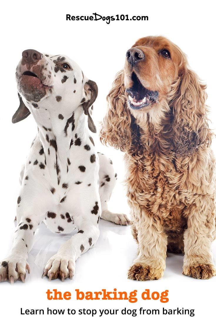 How can I stop my dog from barking?