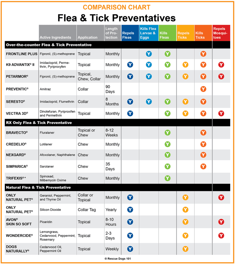 Beautiful view of Geriatric Dog Flea Medication Cost Comparison