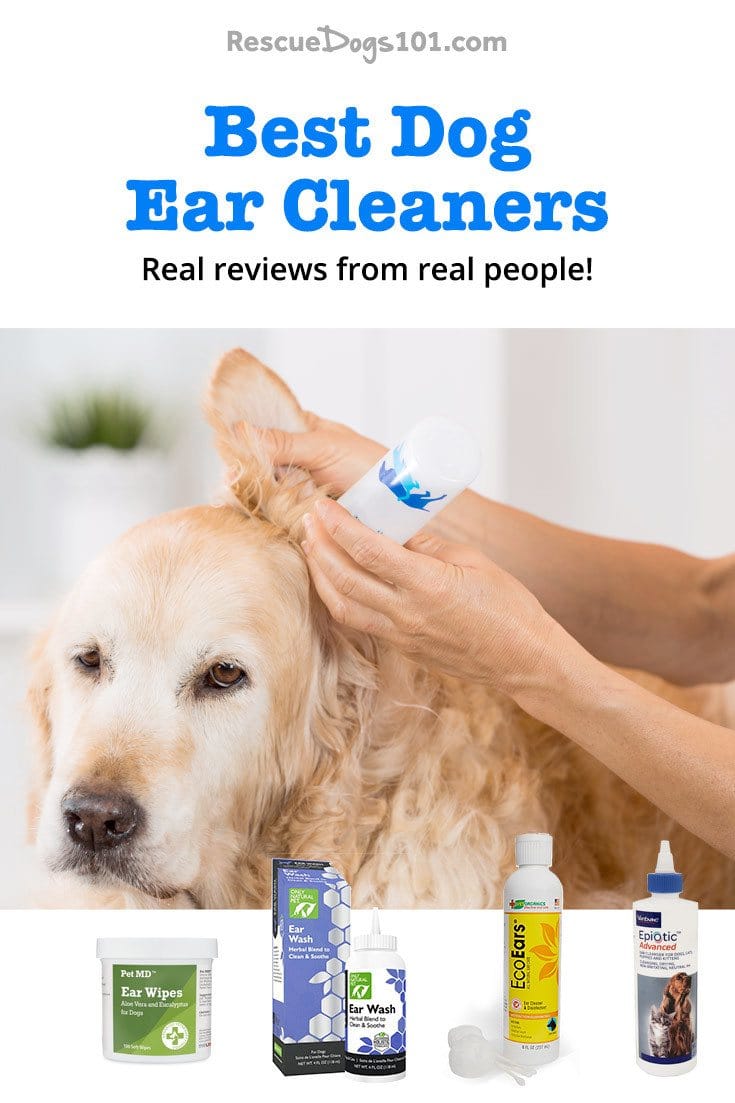 Best dog ear cleaner
