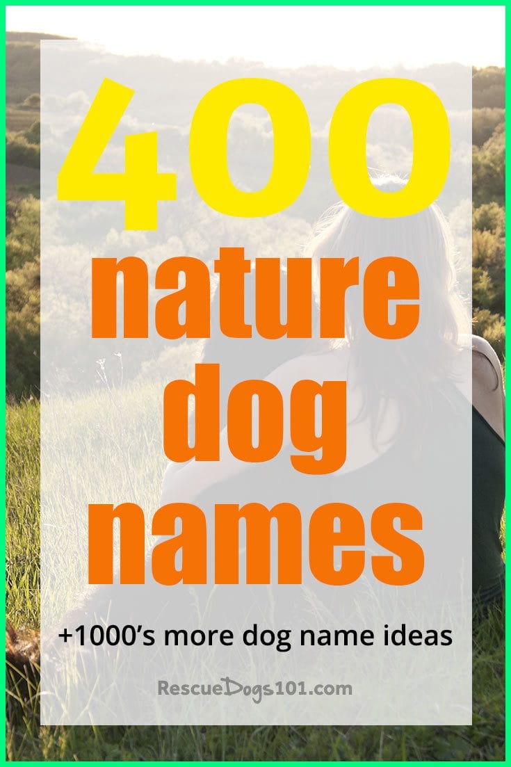 Outdoor dog names