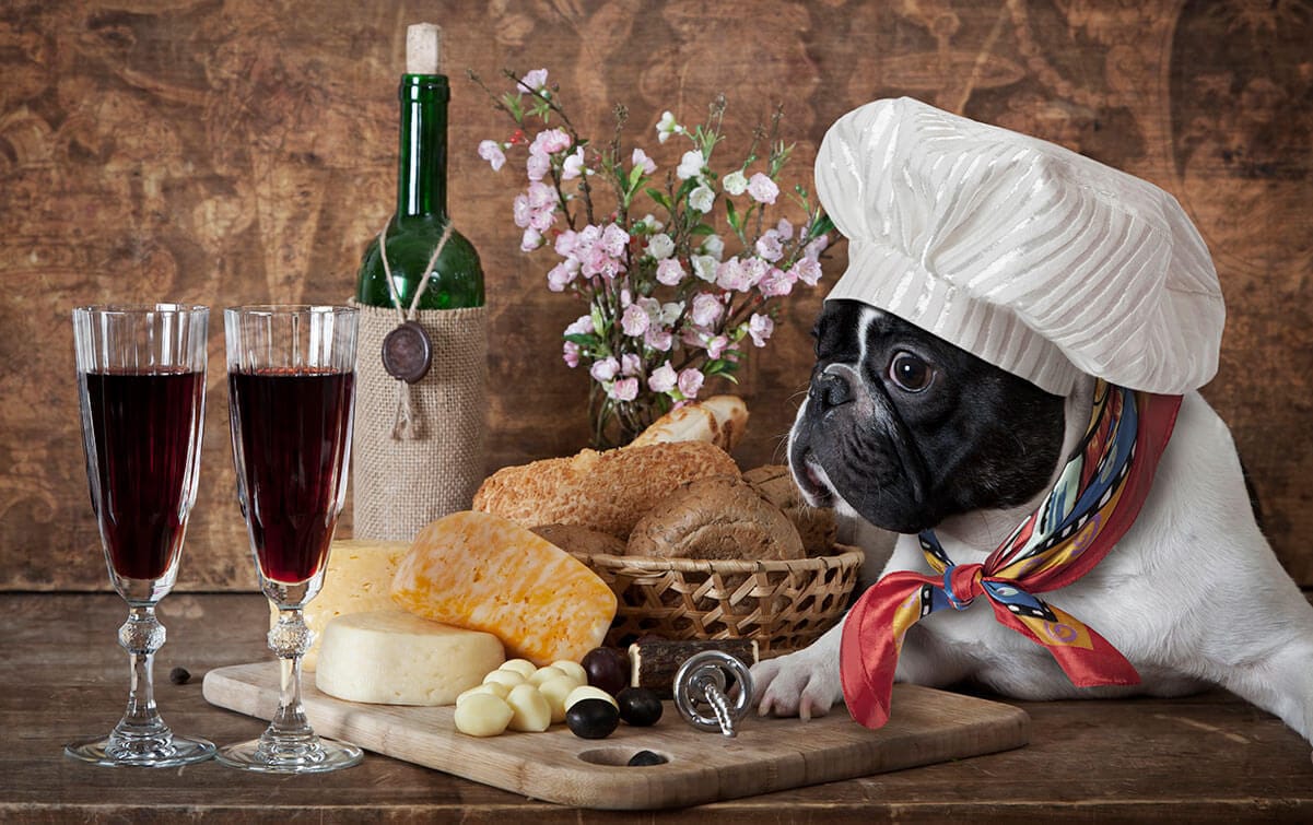 382 Trending alcohol names for dogs