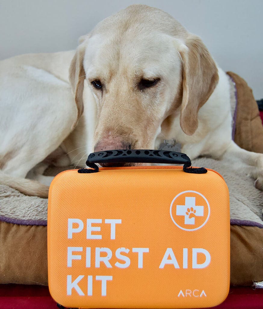 Dog first aid and how to make a dog firstaid survival kit