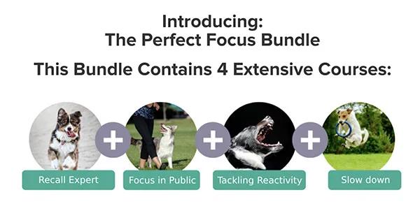 The Perfect Focus Bundle, Recall Expert, Focus in Public, Tackling Reactivity, and Slow Down.