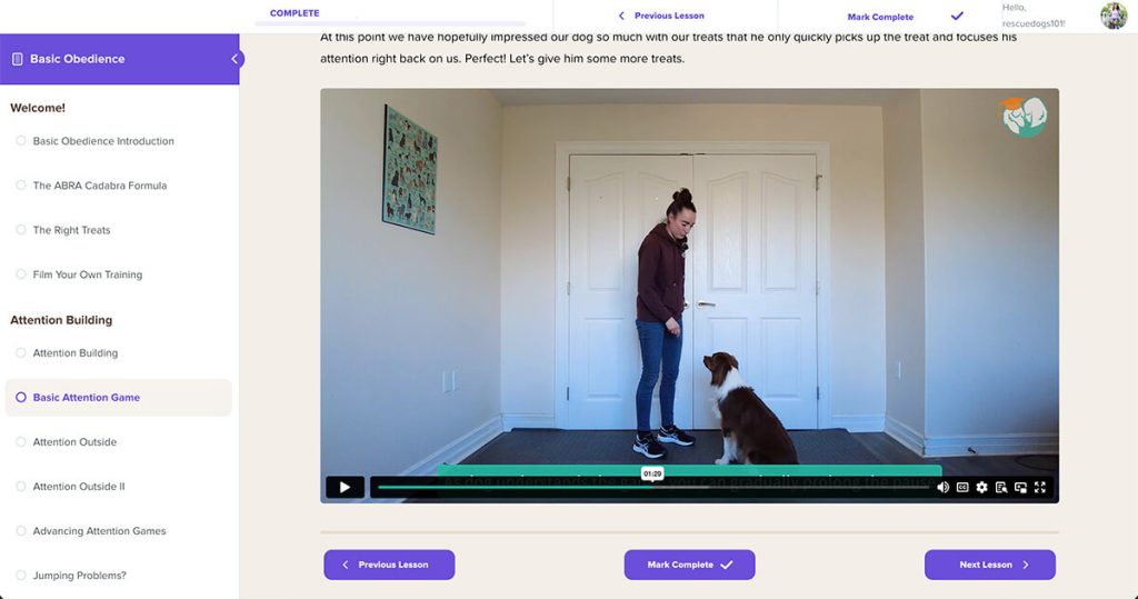 Rescue Dog 101's SpiritDog Basic Obedience Example