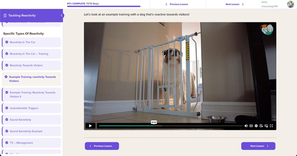 Rescue Dog 101's SpiritDog Tackling Reactivity Example
