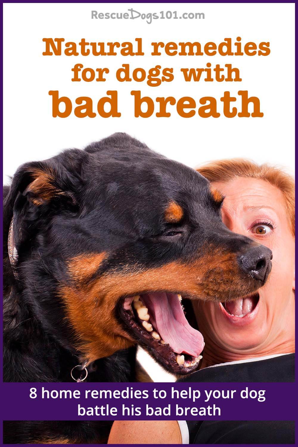 Natural remedies for dogs with bad breath