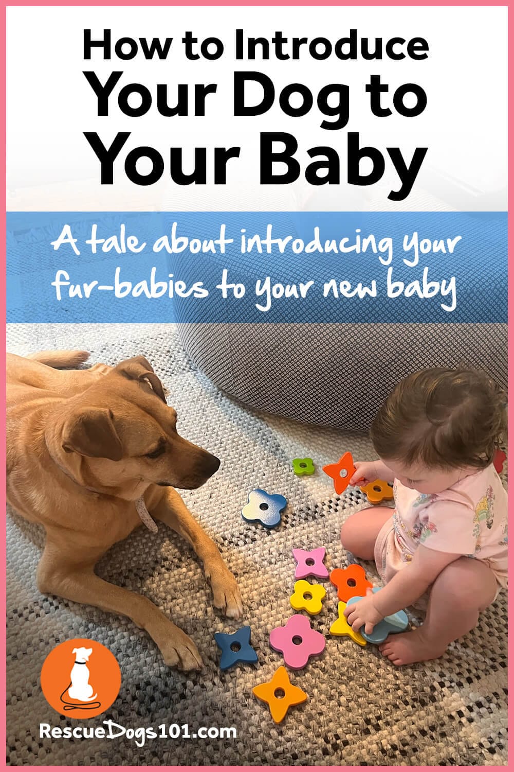 How to Introduce Your Dog to Your Baby