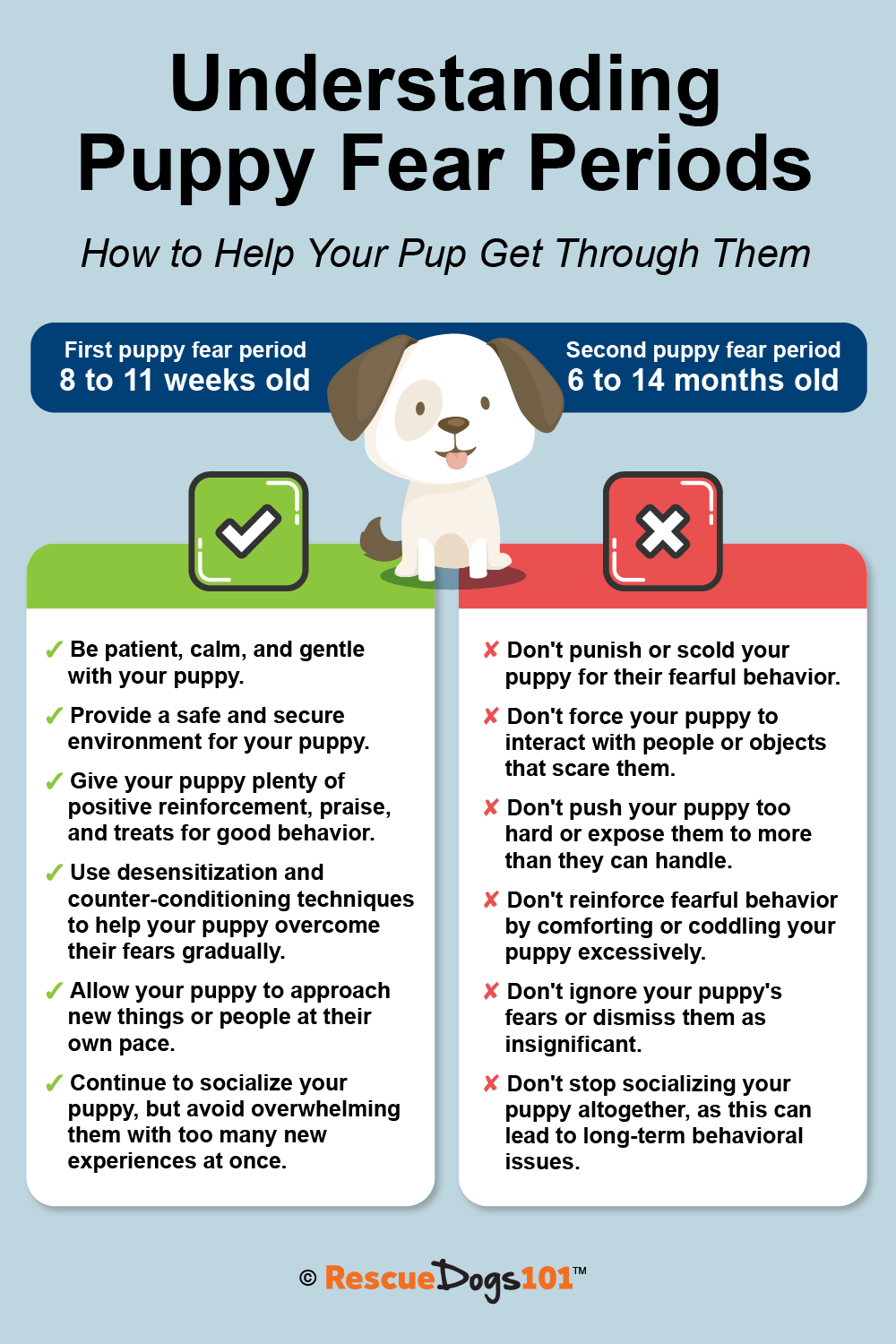 understanding-puppy-fear-periods-how-to-help-your-pup-get-through-them