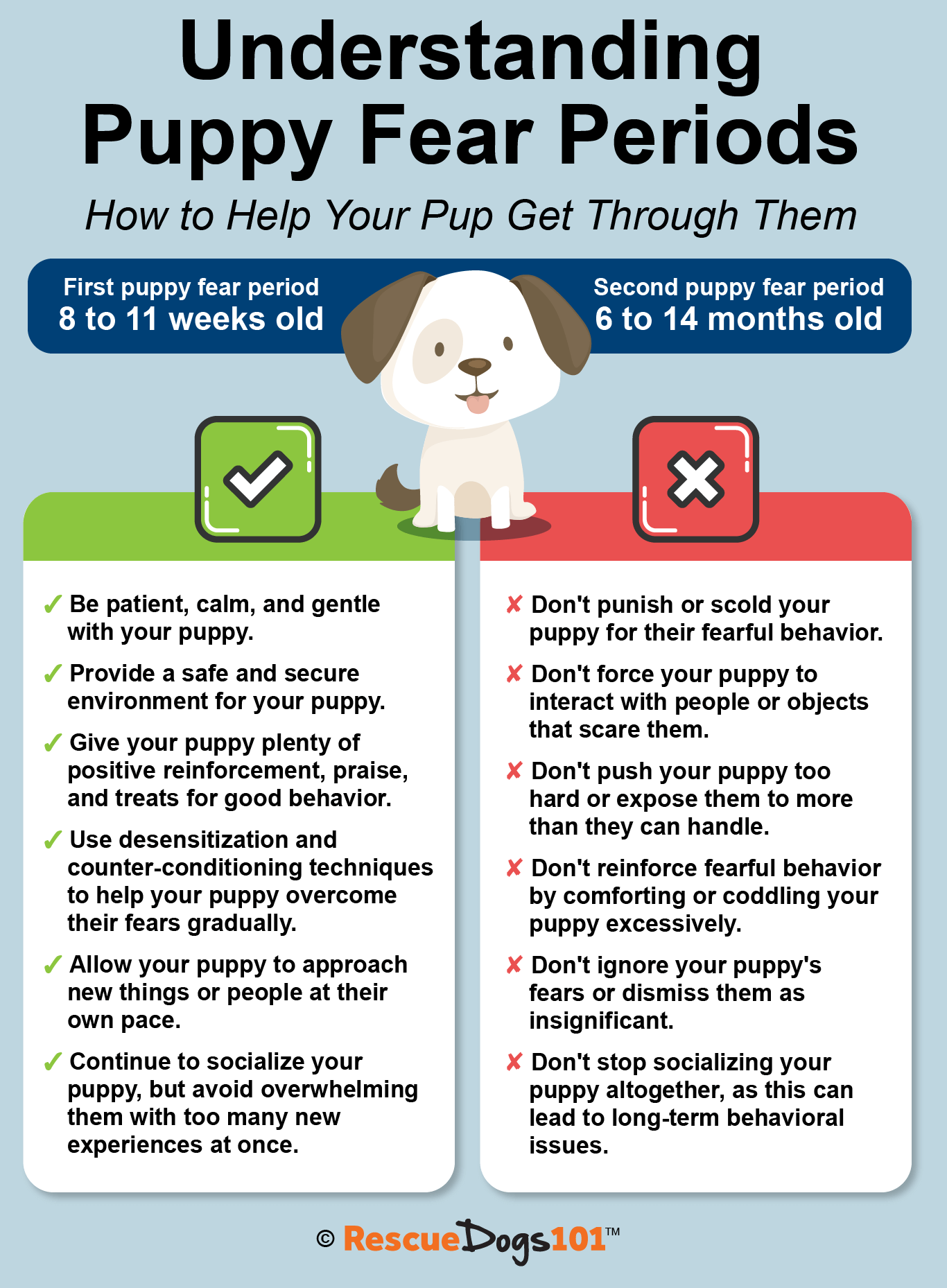 understanding-puppy-fear-periods-how-to-help-your-pup-get-through-them
