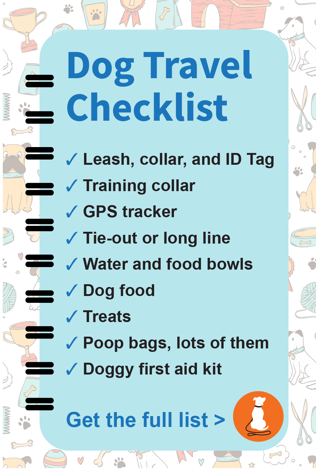 The Ultimate Guide to Traveling with Your Dog in the Car