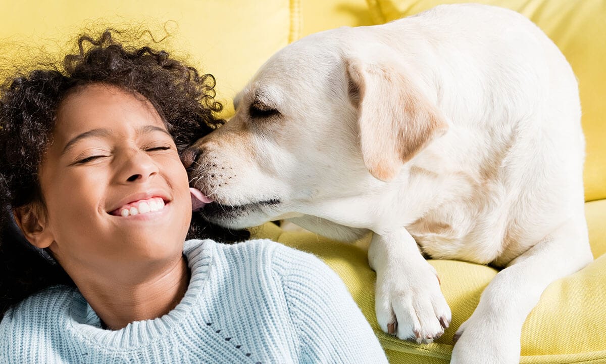 Why Does My Dog Lick Me? My face, hands, legs, feet…