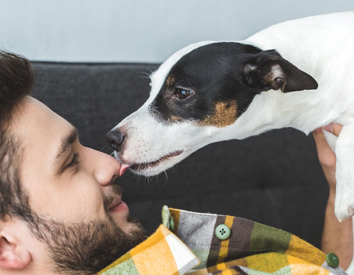Why Does My Dog Lick Me? My face, hands, legs, feet…
