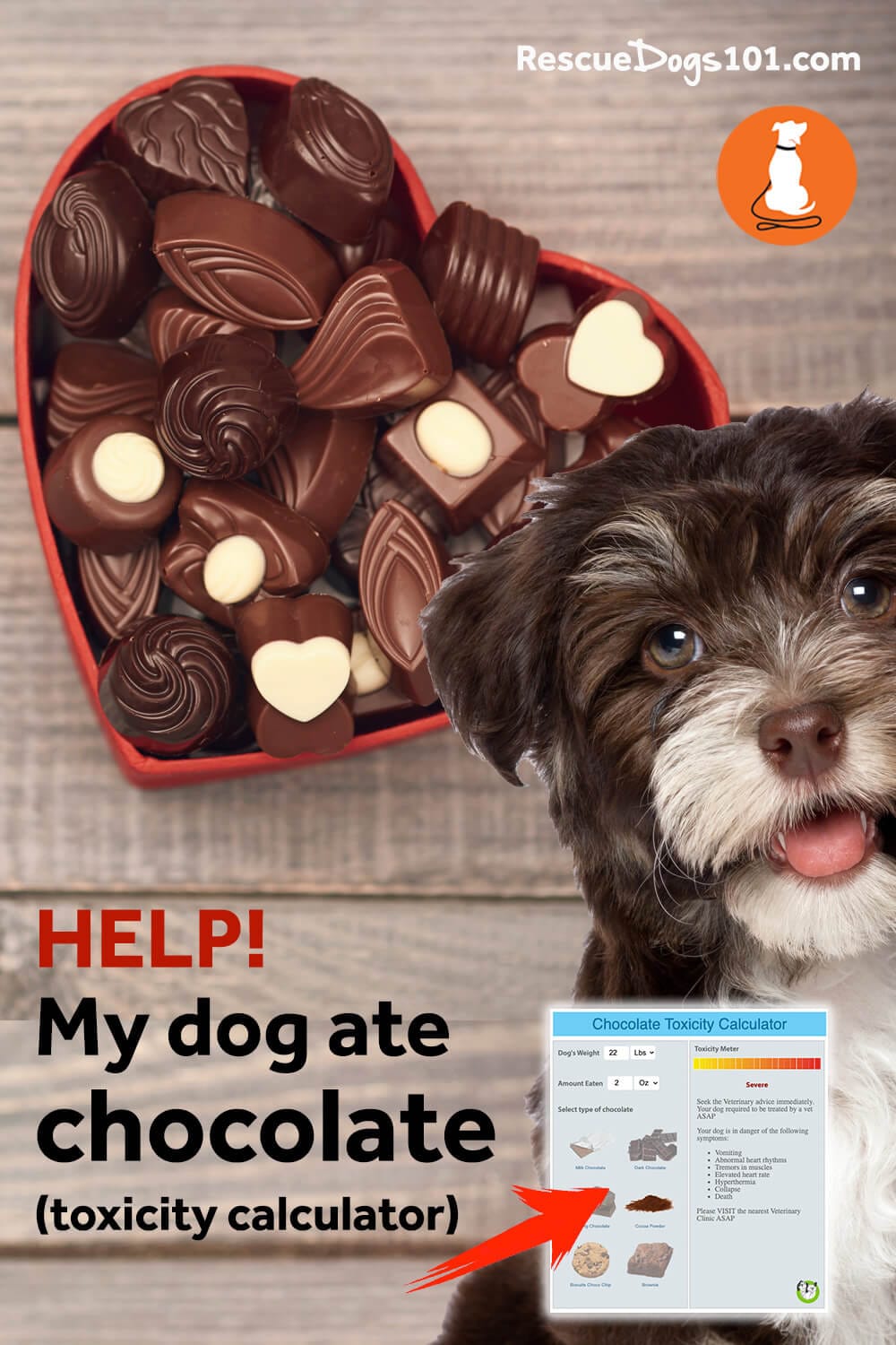 My dog ate chocolate, what should I do? (toxicity calculator)