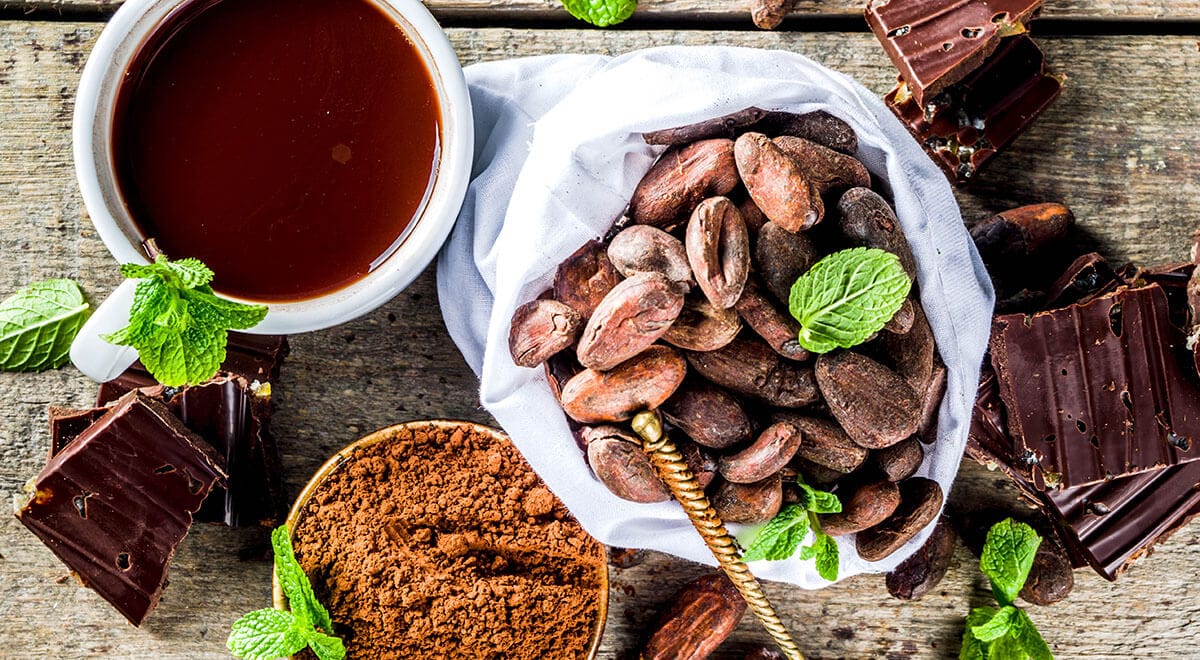 My dog ate chocolate, what should I do? (toxicity calculator)