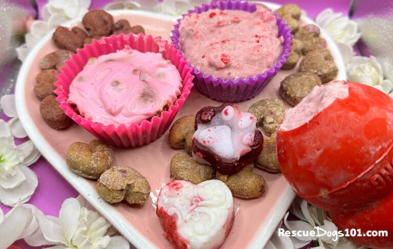 a variety of dog treats on a pink heart plate.