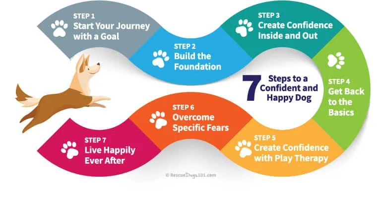 7 steps to a confident and happy dog.