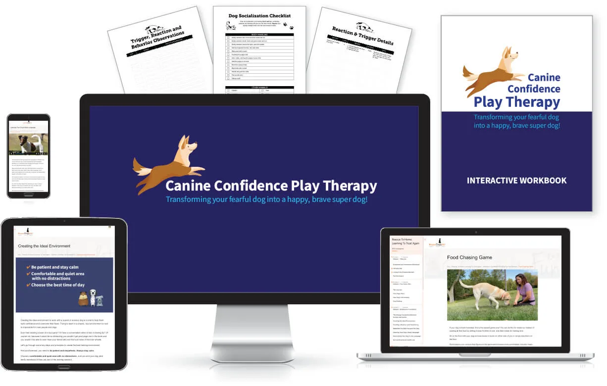 Canine Confidence Play Therapy Program