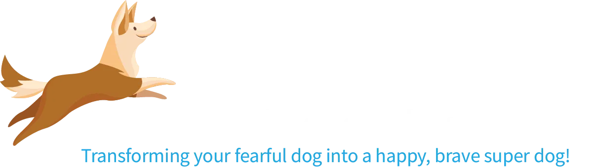 Canine Confidence Play Therapy. Transforming your fearful dog into a happy, brave super dog!