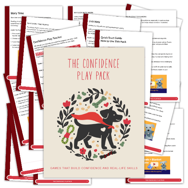 5ConfidenceGames-DogWellnessBundle Dog Wellness Bundle - The Confidence Play Pack