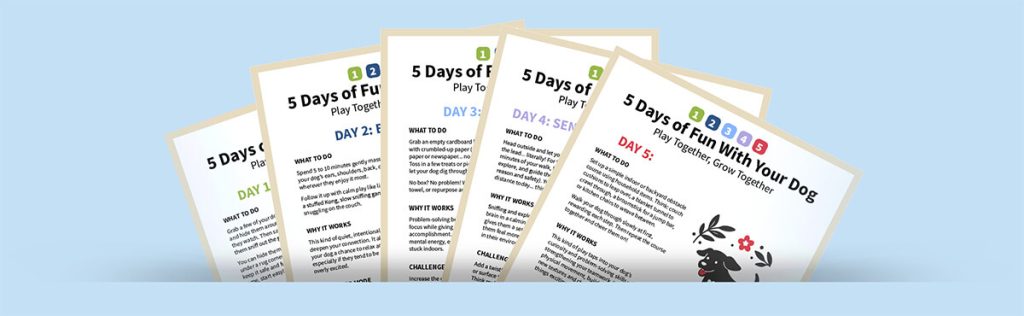 5 Day Dog Challenge Pages.