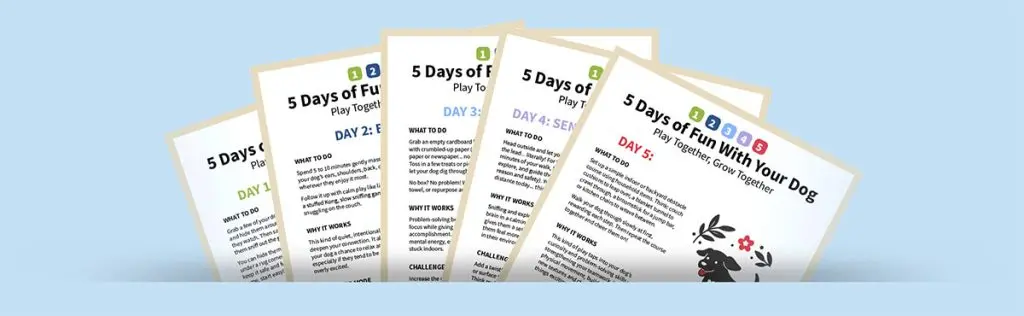 5 Day Dog Challenge Pages.