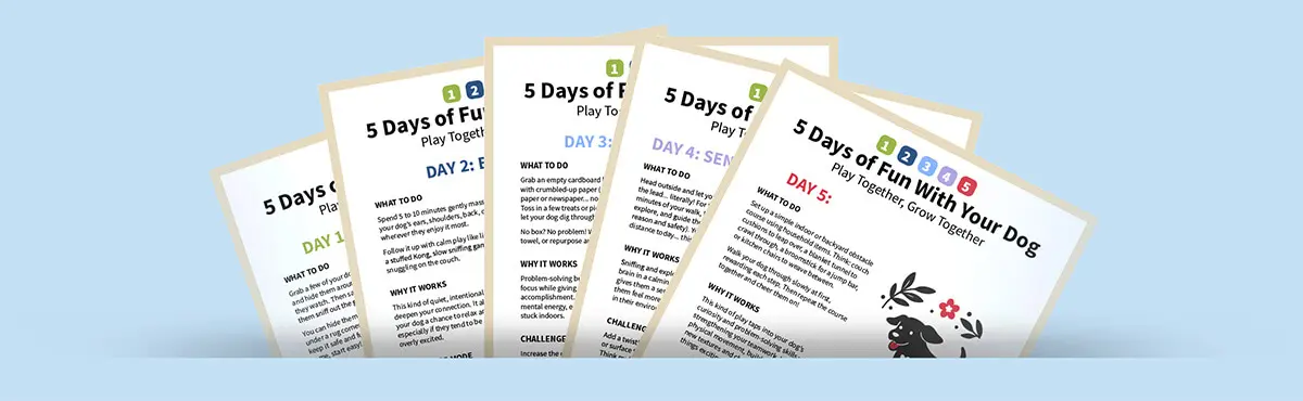 5daychallenge_RescueDogs101_5 5 days of fun with your dog. 5 PDFs and Emails.