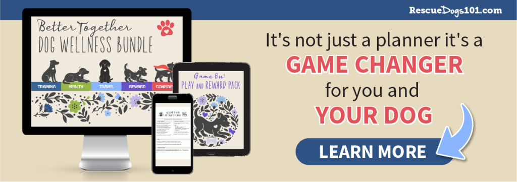 Better Together Dog Wellness Bundle on a computer, smart phone and tablet. Learn More Button.