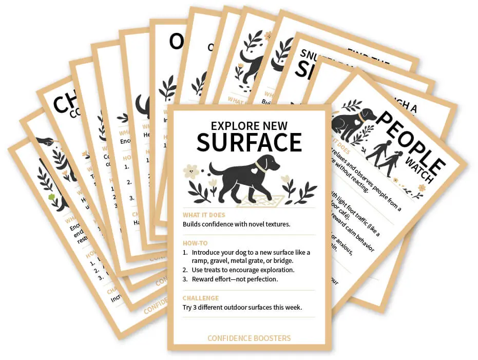 DogTrainingCards_ConfidenceBoosters_RescueDogs101 Confidence Boosters Dog Training Cards