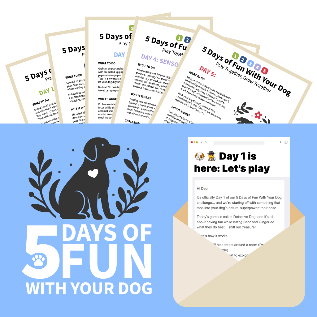 5 days of fun with your dog. 5 PDFs and Emails.