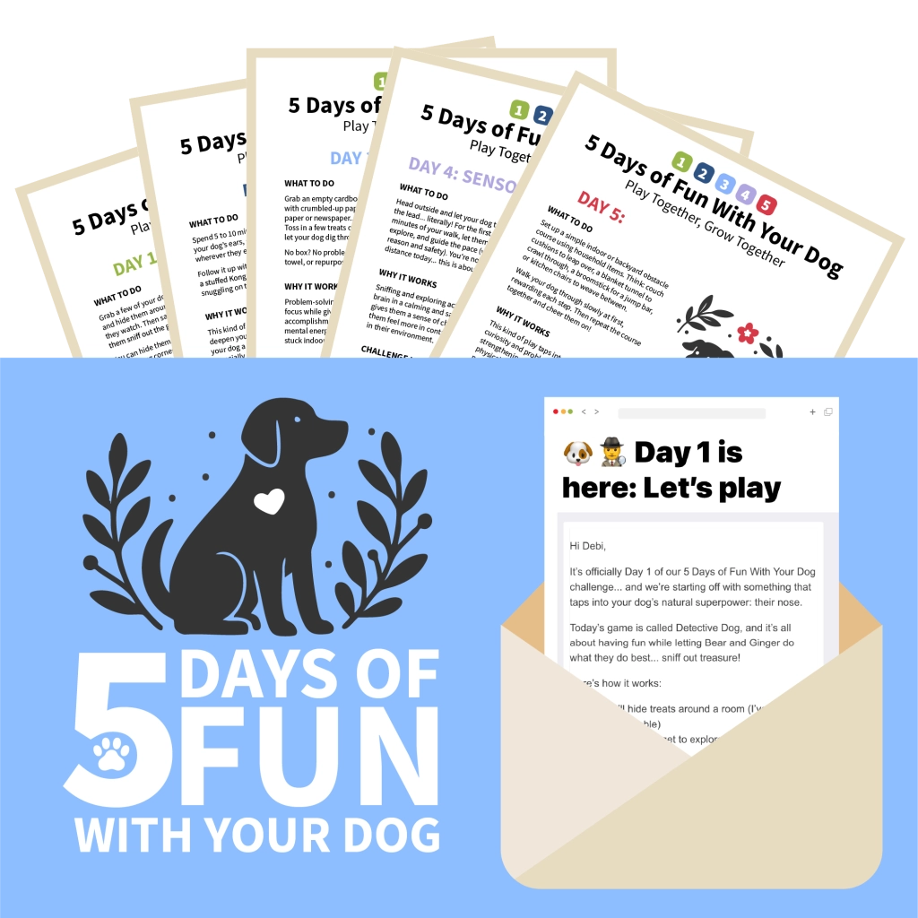 5 days of fun with your dog. 5 PDFs and Emails.