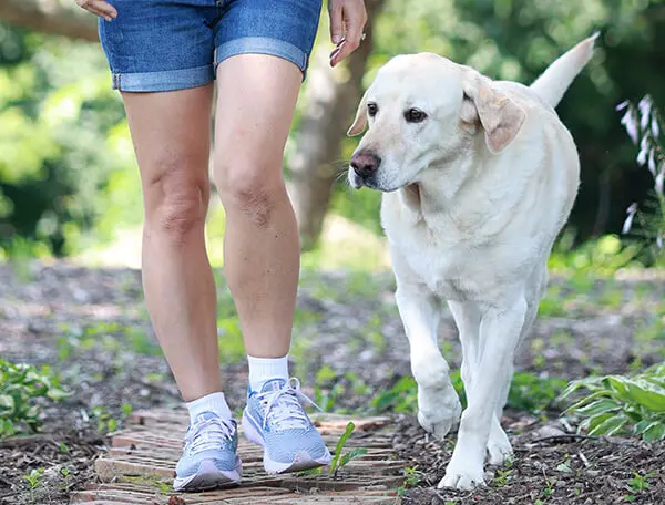 BEAR-walking-side_0368x600 A woman walking a dog.
