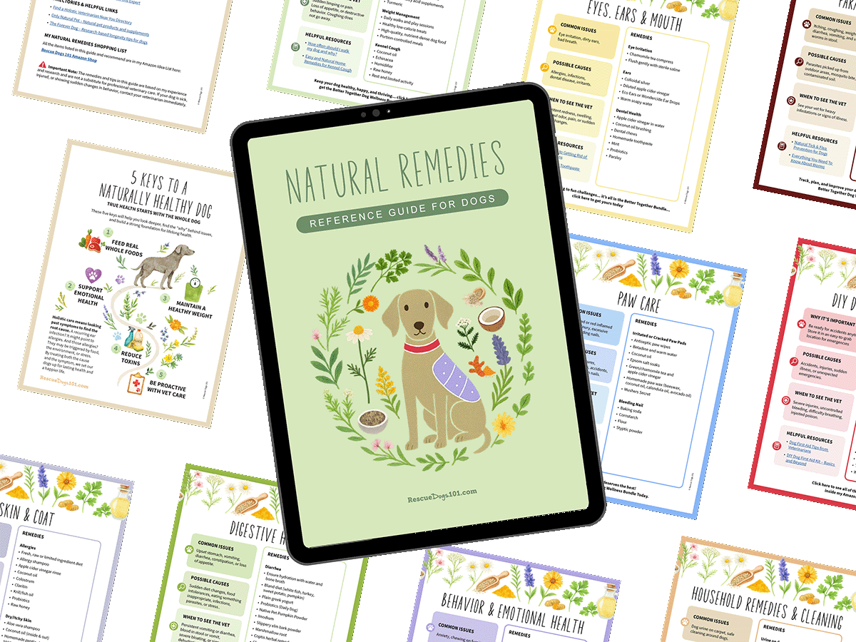 Dog Natural Remedies Reference Guide