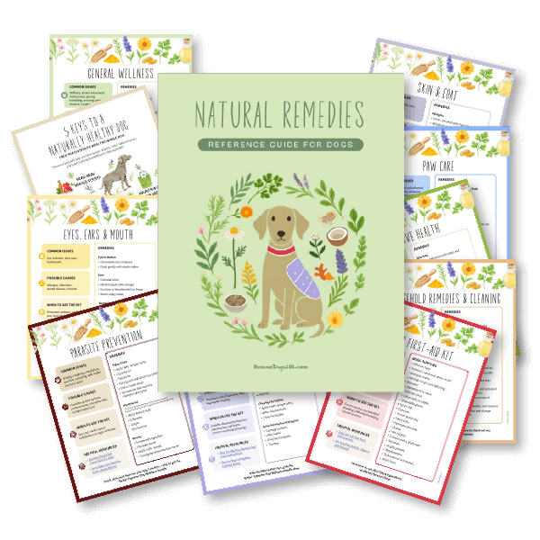 Dog Natural Remedies Reference Guide