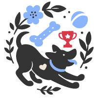 A dog in a play bow position with a bone, ball and award.