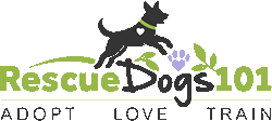 rescue dogs 101