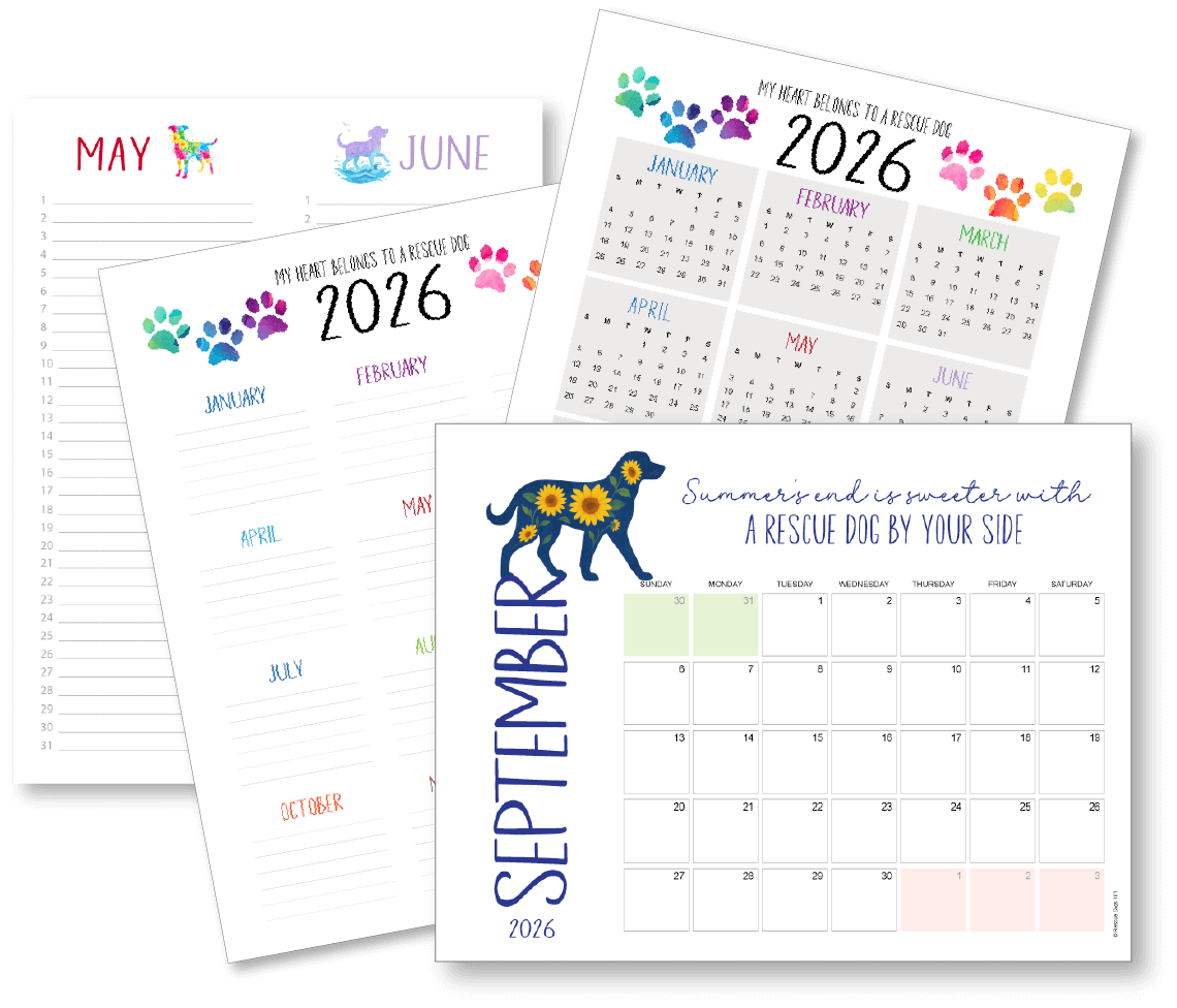 2026 Calendar Pages with Dog Illustrations
