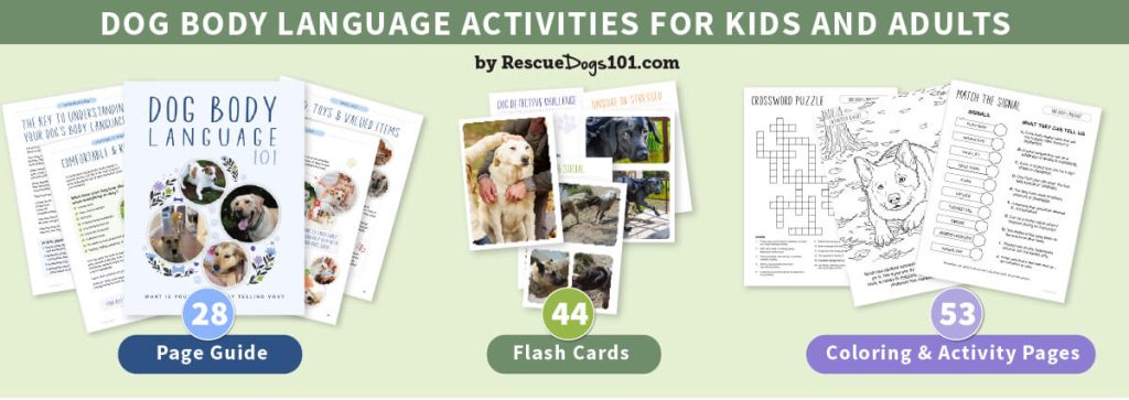 Dog Body Language 101 Bundle Download